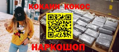 крисы Моздок