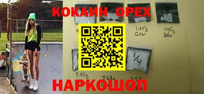 крисы Моздок