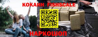 крисы Моздок