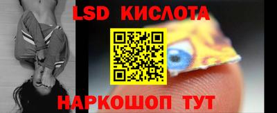 крисы Моздок