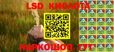 крисы Моздок