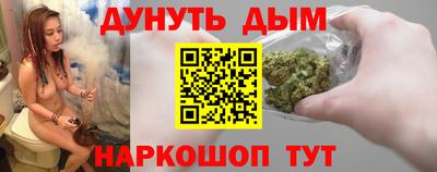 крисы Моздок