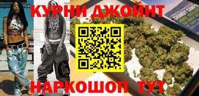 крисы Моздок