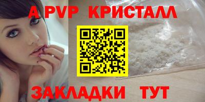 крисы Моздок