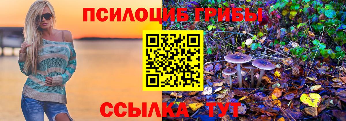 Псилоцибиновые грибы прущие грибы Шебекино