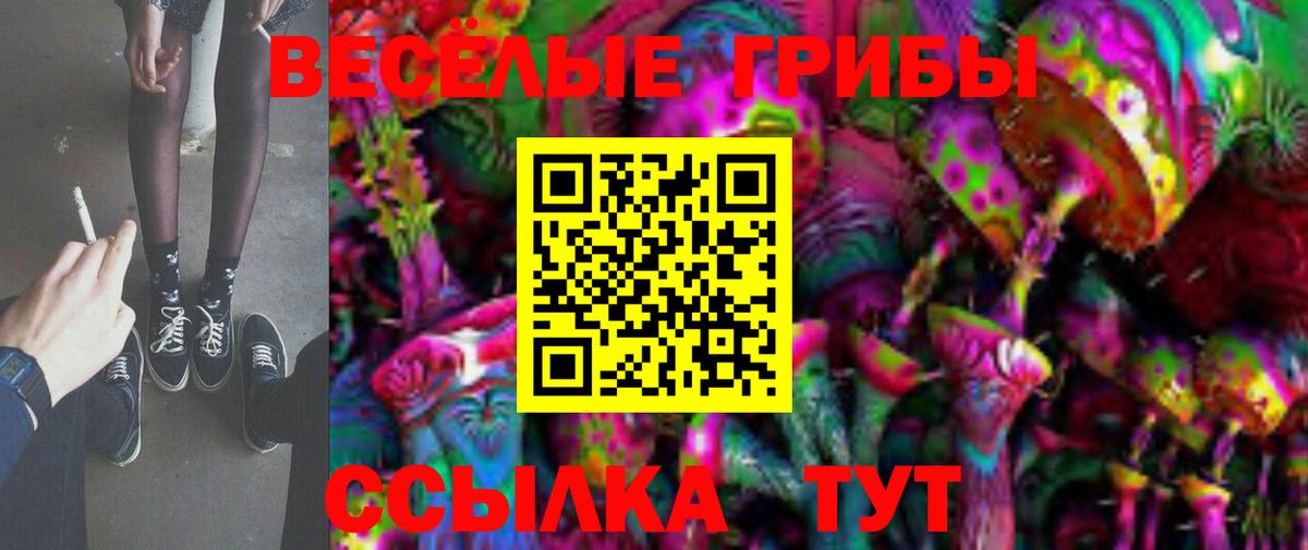 Шебекино  Псилоцибиновые грибы мухоморы  Галлюциногенные грибы Magic Shrooms  купить   Вход с VPN 